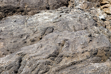 Stone texture. Gray natural rough stone