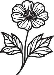 This is an illustration of flowers in a simple and modern line art style.