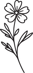 This is an illustration of flowers in a simple and modern line art style.