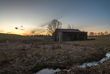 sunset over barn union kentucky © Bradley