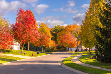 Fall color street