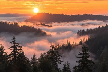 Obraz premium Misty sunrise with vibrant orange sky