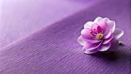 Abstract purple paper background with blurred spring blossoms