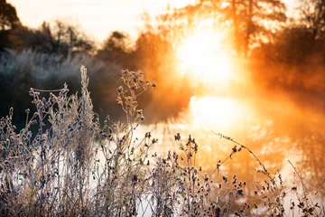 Crédence de cuisine en verre imprimé Frosty autumn morning on the river. first frosts and hoarfrost on the bank and warm sunlight. Rays of sun through trees early in the morning in the fog