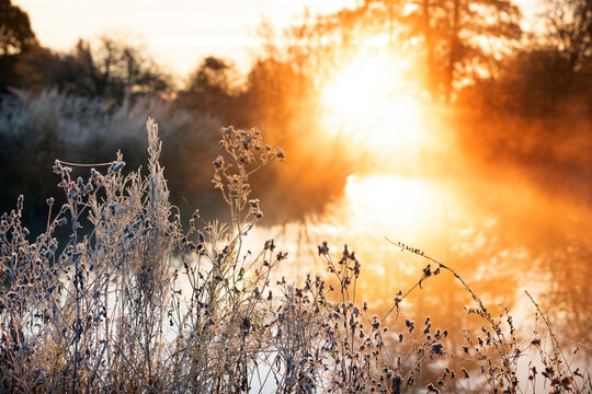Frosty autumn morning on the river. first frosts and hoarfrost on the bank and warm sunlight. Rays of sun through trees early in the morning in the fog