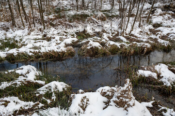 Winter landscape on a small river