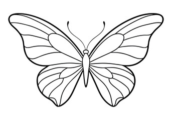 Fototapeta premium Continuous Line Art of a Butterfly Wing Pattern – Elegant Minimalist Vector