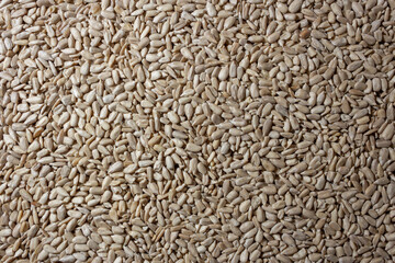 Peeled Sunflower Seeds Background: A Culinary Canvas of Shell-free Sunflower Seeds, Creating a Lively and Textured Background for Gourmet Cooking - Top View, Flat Lay