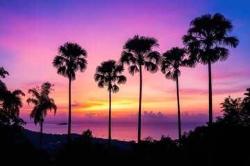 Silhouette of palm trees against the colorful sky during a serene sunset, with the Andaman Sea in the distance, captured from Windmill View Point near Laem Promthep Cape.
