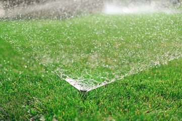 Sprinkler irrigation of a green lawn with a trickle of water.