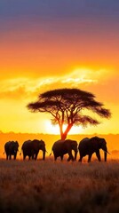Fototapeta premium Silhouetted elephants walk across a savanna during a vibrant sunset, framed by a lone tree, creating a stunning natural scene.