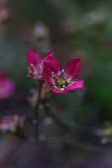 lato, summer © Monika