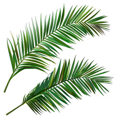 Obraz premium tree leaves on transparent background png