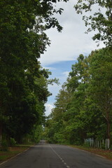 selective focus picture of the road through the mountains in a fall season