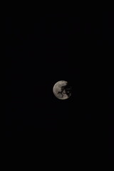 Fototapeta premium selective focus picture of moon in the forest