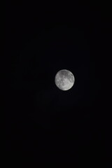 Obraz premium selective focus picture of moon in the forest