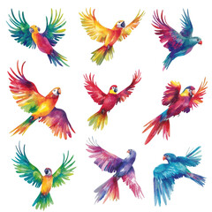 Obraz premium Rainbow Parrots in Flight: A vibrant collection of twelve watercolor parrots, each showcasing a unique and dazzling array of colors, wings outstretched in mid-flight.