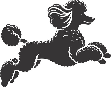 poodle dog in different poses, clipart, and vector silhouette designs.