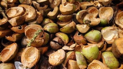 A pile of broken coconut shells, some green, some brown, all discarded.
