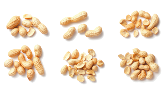 Arrangement of Assorted Peanuts Isolated on a Transparent Background Generative AI