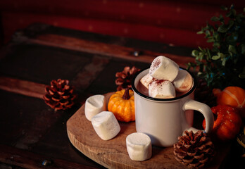 Winter, autumn comfort drinks. Hot chocolate with marshmallow with autumn season decoration background.