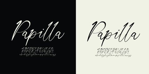 Vector elegant alphabet letters font classic modern serif lettering minimal fashion