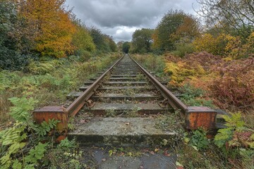Fototapeta premium Overgrown Railroad Tracks Leading into a Forest