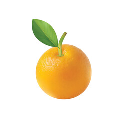 orange with leaf
