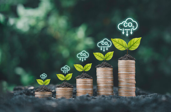 Plant growing on coins stacking with carbon reduction sign for carbon credit and footprint can make more business profit and  limit global warming from climate change concept.