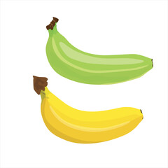 bunch of bananas