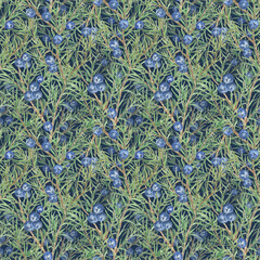 Watercolor seamless pattern of juniper twigs and berries. The composition of their intertwining evergreen branches and blue berries, made by hand. A festive ornament for design, print or background.