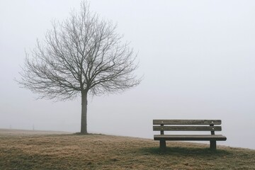 Fototapeta premium A Lonely Bench Under a Bare Tree in a Misty Landscape