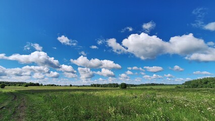 Vibrant summer landscape with blue sky and fluffy clouds in a green meadow