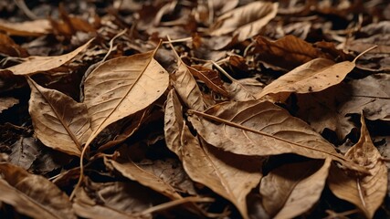 leaves in the background and a pile of leaves nearby