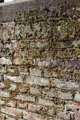 Grass covered wall