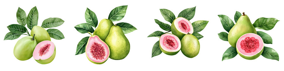 Fototapeta premium Fresh guava fruits with green leaves, isolated on white background. transparent background.