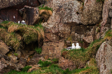 nature sceneries inside the Vatnsnes Peninsula, Iceland