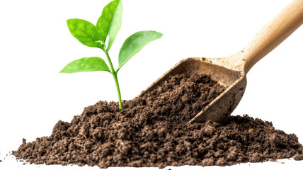 small green plant emerges from rich soil, symbolizing growth and new beginnings. wooden gardening tool rests beside it, emphasizing nurturing aspect of gardening
