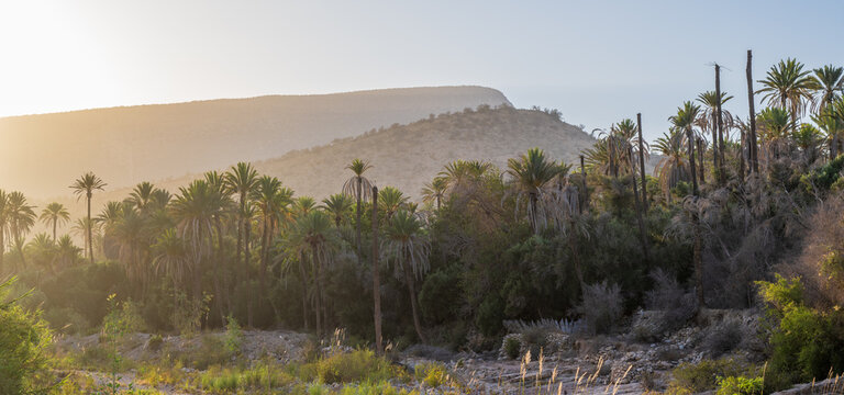 Paradise Valley, a section of the Tamraght River valley in the Moroccan High Atlas mountains. Morocco.