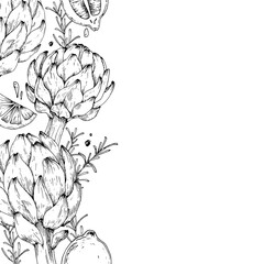 Frame with artichoke, asparagus, lemon, pepper and rosemary hand drawn with ink. Black and white vector illustration with vegetables. Template for label design, vegetarian menu design in a restaurant.