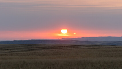The open prairies of Central Montana glow under a breathtaking sunrise, with golden light spilling across vast grasslands and endless skies.