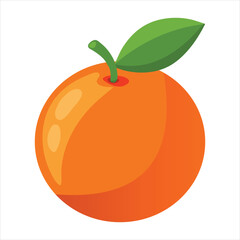 Illustration orange fruit on white