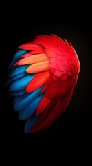 Fototapeta premium A tight shot of a red, blue, and yellow bird's wing against a black backdrop