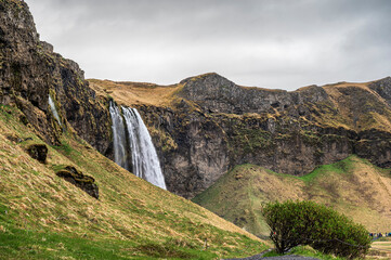 nature sceneries in the area surrounding the Seljalandsfoss waterfall, Iceland