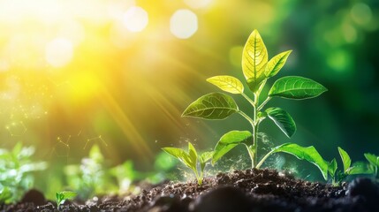 Biotech sustainability initiatives aimed at developing environmentally friendly biotechnological processes and products that reduce the industry's carbon footprint