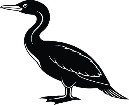 recommend clip art: cormorant silhouette vector illustration.