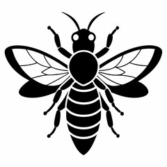 bee on white