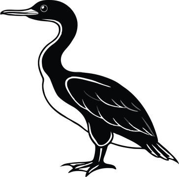 recommend clip art: cormorant silhouette vector illustration.