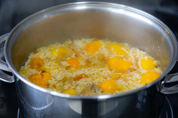 Traditional Brazilian dish rice, chicken and pequi (caryocar brasileinse) known as galinhada goiana
