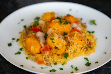 Traditional Brazilian dish rice, chicken and pequi (caryocar brasileinse) known as galinhada goiana